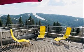 Appartement Sur Les Hauteurs De Gerardmer