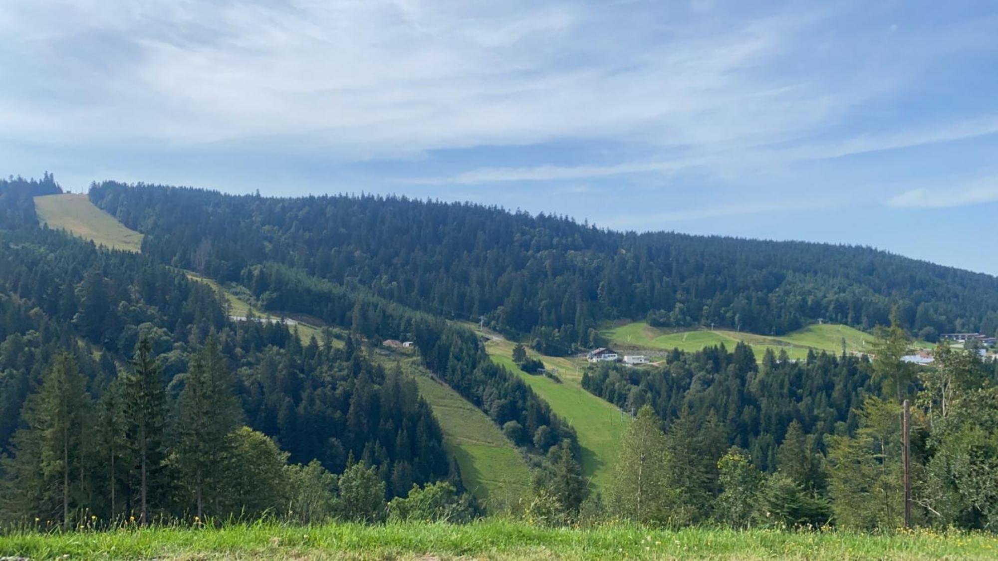 Appartement Sur Les Hauteurs De Gérardmer Extérieur photo